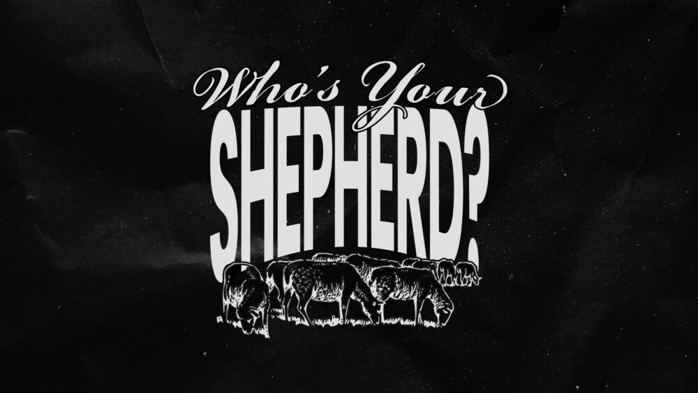 Who\'s Your Shepherd?